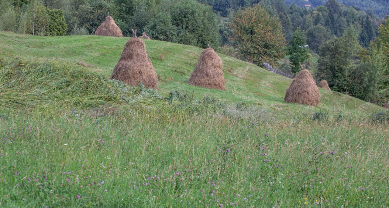 Casa De Vacanta Armi Molidu 외부 사진